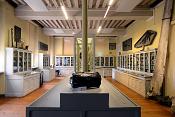 museum de histoire naturelle rouen 8-2021 9441